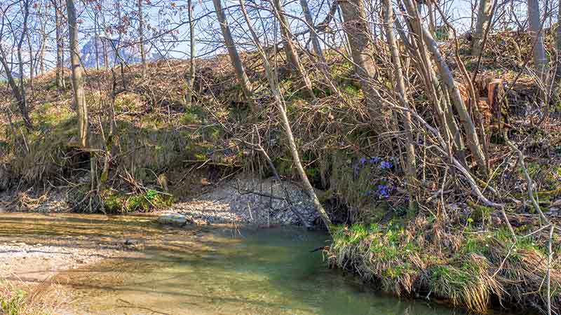 Wandern im Ausflussbereich der Fuschler Ache