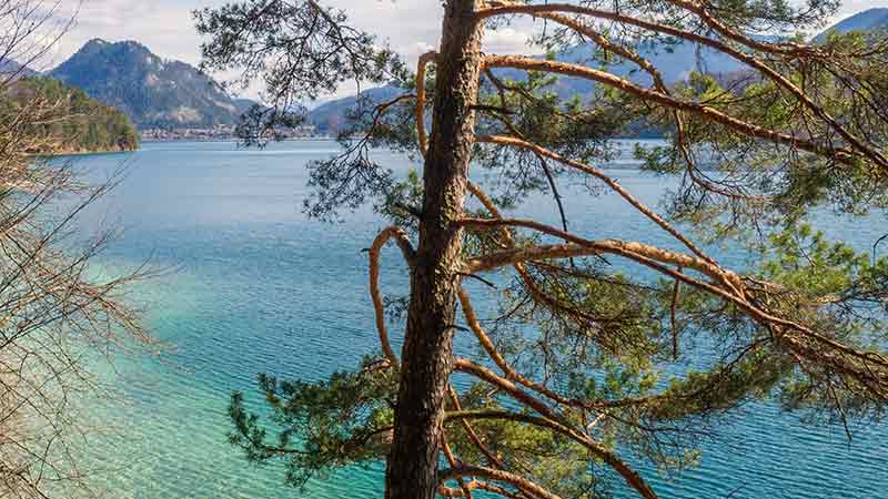 Wandern mit wunderbaren Blick auf den Fuschlsee