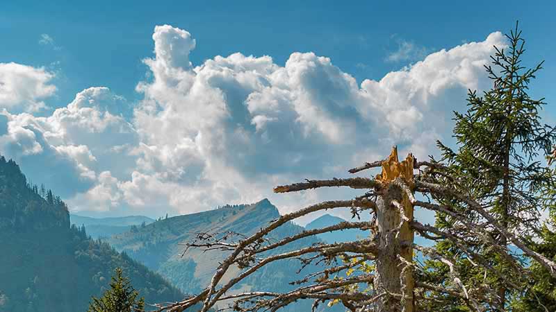 Bleckwand Panorama-Blick in die Bergwelt