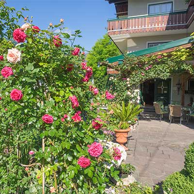 auf der Terrasse