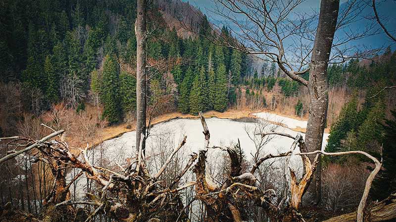 Spechte statt Hechte, Filblingsee