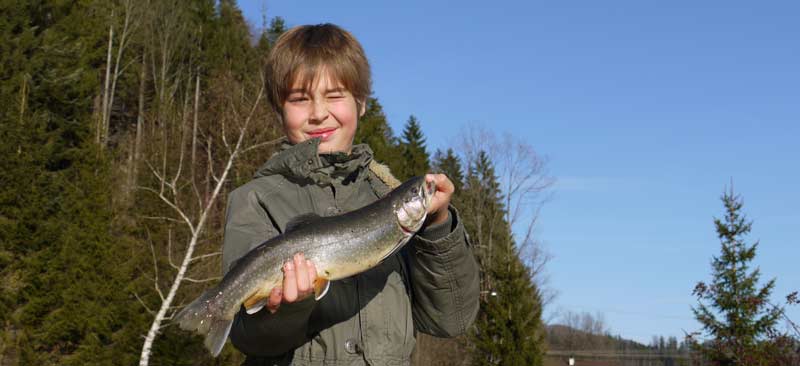 Fischteich oder Hintersee